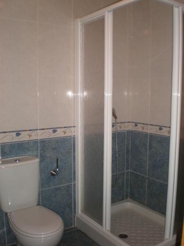 a bathroom with a toilet and a shower at Casa Codesal Apartamentos in Noalla