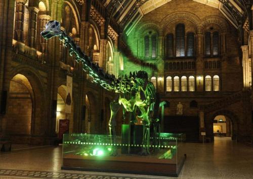 a statue of a dinosaur in a large building at One Bedroom cottage retreat Loxley Barn in Tring