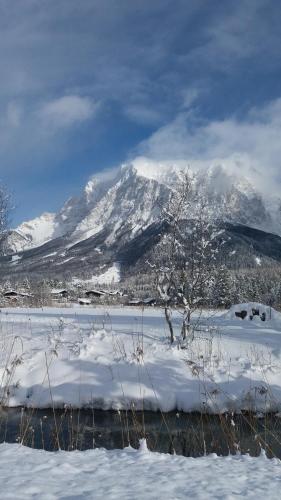 a snow covered mountain with a tree in the foreground at Tyrol Appartements in Ehrwald