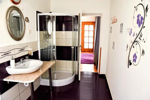 a bathroom with a sink and a shower at Pensiunea Vila Silva I in Haţeg