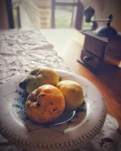 a plate with some potatoes on a table at Le Carcare in Santo Stefano del Sole