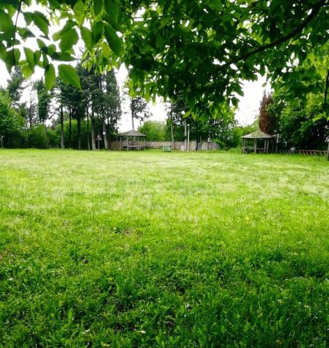 a field of green grass with trees in the background at Le Carcare in Santo Stefano del Sole