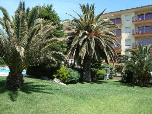a hotel with palm trees in front of a building at Payet Apartments in L'Estartit