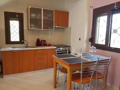 Cuisine ou kitchenette dans l'établissement Elani Apartments (Lofos Elanis)