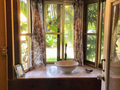 a room with a large bowl in front of a window at The Novelo in Caye Caulker