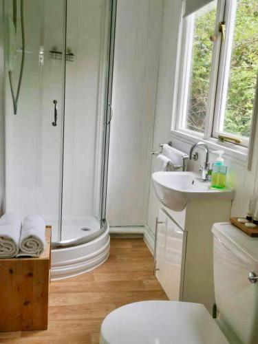 a bathroom with a shower and a toilet and a sink at Treeside woodhouse in Hawkshead