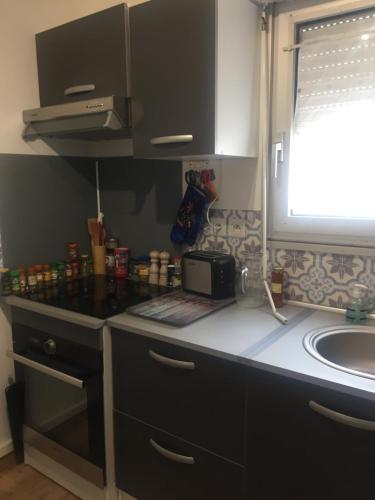 - une cuisine avec un comptoir et un évier dans l'établissement Bel appartement, à Berck-sur-Mer