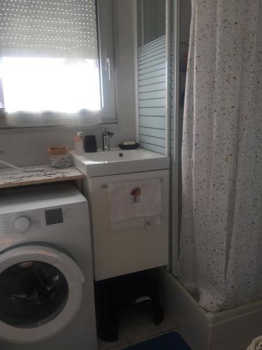ein Badezimmer mit einer Waschmaschine und einem Waschbecken in der Unterkunft Bel appartement in Berck-sur-Mer