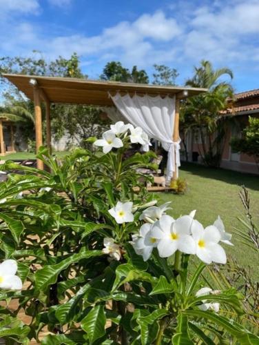 Taman di luar Pousada Recanto Trancoso