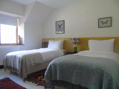 a bedroom with two beds and a window at Rowan Cottage, CrannachCottages in Garve