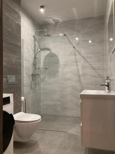 a bathroom with a shower and a toilet and a sink at Domek in Kamień Pomorski