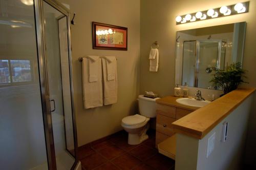 e bagno con servizi igienici, lavandino e doccia. di Apartment 411, Antique Heritage a Canmore