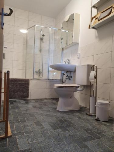 La salle de bains est pourvue de toilettes, d'une douche et d'un lavabo. dans l'établissement Penthouse "Michelangelo" GreatView, WiFi & Netflix, à Schweinfurt