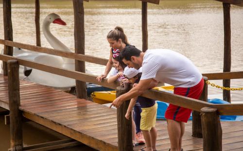 a man and two children looking at a swan on a dock at Blue Tree Thermas de Lins Resort in Lins