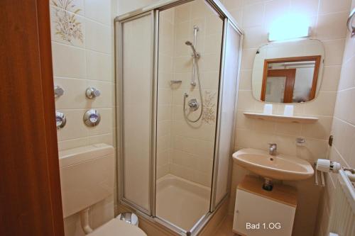 a bathroom with a shower and a sink and a toilet at Gschwendtnerhof App13 Lincke in Aschau im Chiemgau