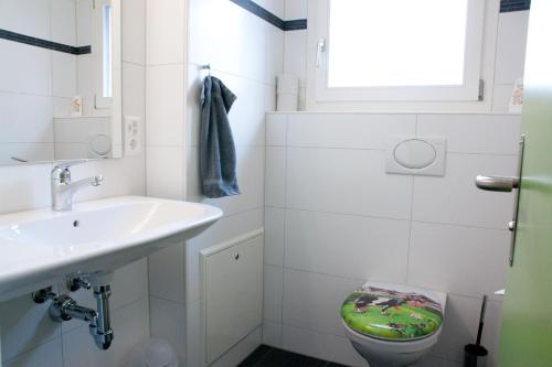 ein Bad mit einem Waschbecken, einem WC und einem Fenster in der Unterkunft Valley Hostel in Lauterbrunnen