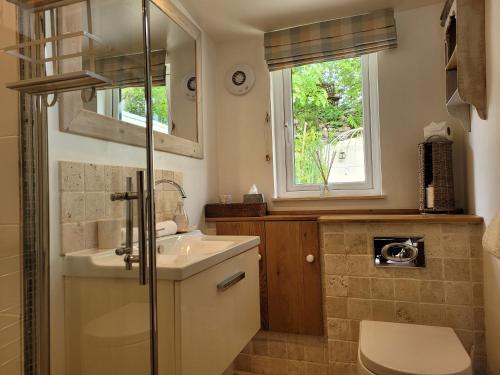 a bathroom with a sink and a toilet and a window at Sixpence Cottage in Penryn