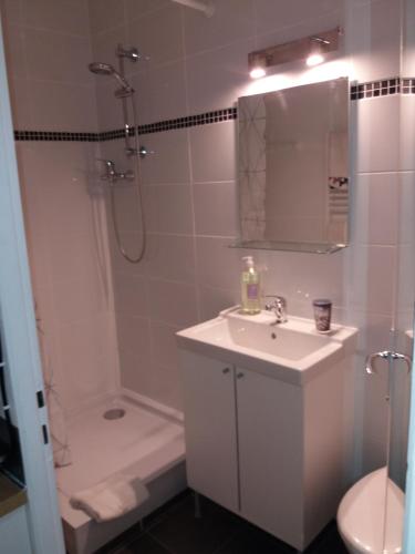 a bathroom with a sink and a shower and a toilet at A deux pas du Château - appartements in Pau