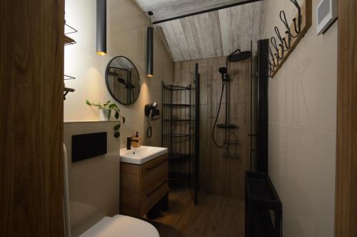 a bathroom with a shower and a toilet and a sink at Apartamenty Prestige in Łeba