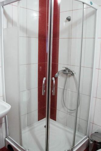 a shower with a glass door in a bathroom at Котедж з неймовірними краєвидами, Карпатський Чан DREAM, Чан Джакузі in Slavske