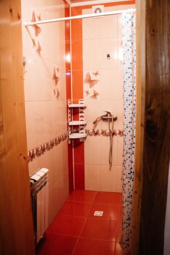 a bathroom with a shower with stars on the wall at Котедж з неймовірними краєвидами, Карпатський Чан DREAM, Чан Джакузі in Slavske