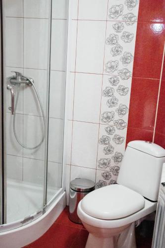 a bathroom with a toilet and a shower at Котедж з неймовірними краєвидами, Карпатський Чан DREAM, Чан Джакузі in Slavske