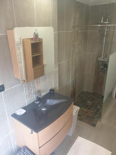 Koupelna v ubytování Chambre privée au coeur de Calais