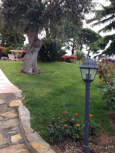 a street light in a yard with a tree at Villa Gaia - Luxury Villa, pool & wellness rooms in Bordighera