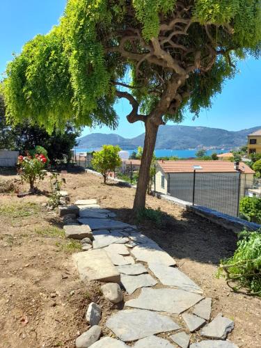 a tree and a stone path in a yard at Atena in La Spezia