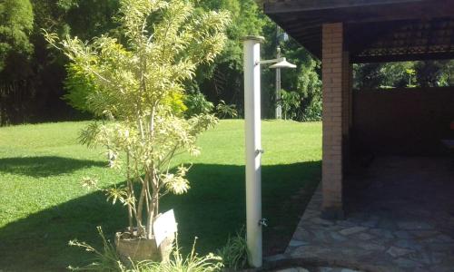 a small tree in a pot next to a pole at Recanto beira rio in Sana