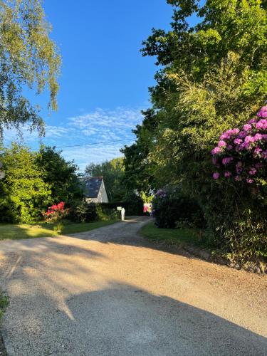 a driveway with flowers and trees and a house at Entre terre et mer in Combrit
