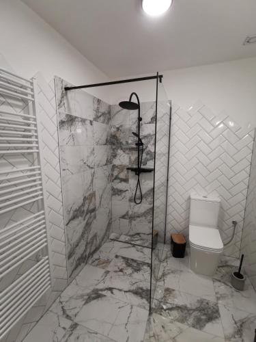 a bathroom with a glass shower and a toilet at Apartmán Pri Lese in Veľký Slavkov
