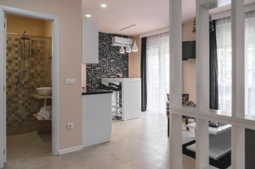 eine Küche mit einem Waschbecken und einer Dusche in einem Zimmer in der Unterkunft Apartmani MiS in Šabac