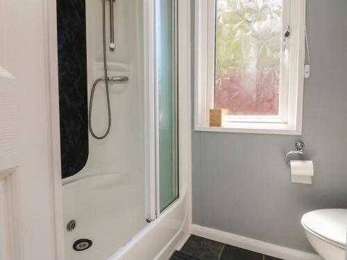 a bathroom with a shower and a toilet and a window at Valley Lodge in Tiverton