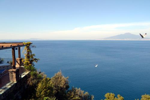 a bird flying over a large body of water at Hotel La Tonnarella in Sorrento