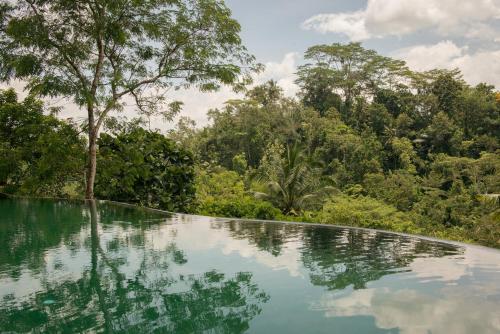 a pool of water with trees in the background at Komaneka at Tanggayuda Ubud in Ubud