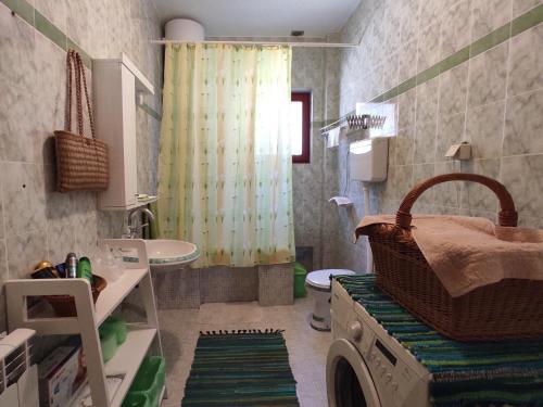 ein Badezimmer mit einem Waschbecken und einer Waschmaschine in der Unterkunft Boulevard Garden House - Free and save parking in the yard in Ćuprija
