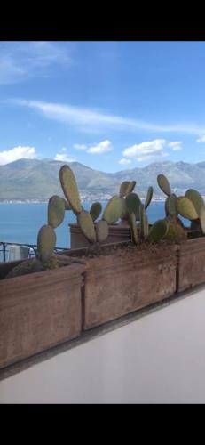 Le Suite Guarinelli B&B – Photos 3