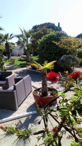 Brit Hotel Confort Hélios Agde photo 66