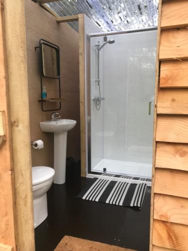 a bathroom with a shower and a toilet and a sink at Cefn Crib Glamping in Machynlleth