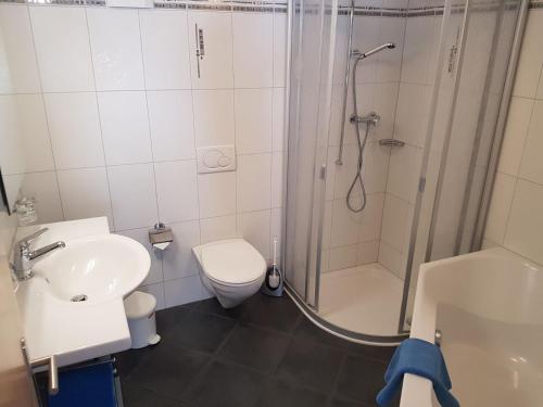 a bathroom with a shower and a toilet and a sink at Ferienhaus Antigua in Saas-Grund