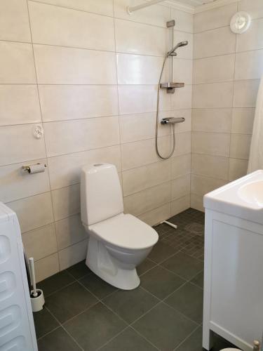 a bathroom with a toilet and a shower at Idyllisk nybyggd stuga på Sollerön. in Sollerön