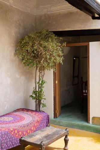ラムにあるMakubwa Houseの木の木のある部屋