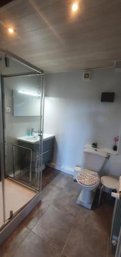 ein Bad mit einer Dusche, einem WC und einem Waschbecken in der Unterkunft Siber & Sandrine in La Seyne-sur-Mer