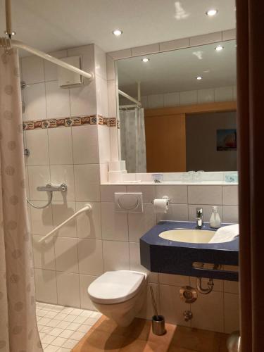 y baño con aseo, lavabo y ducha. en Hotel Die Friesenhalle, en Bredstedt