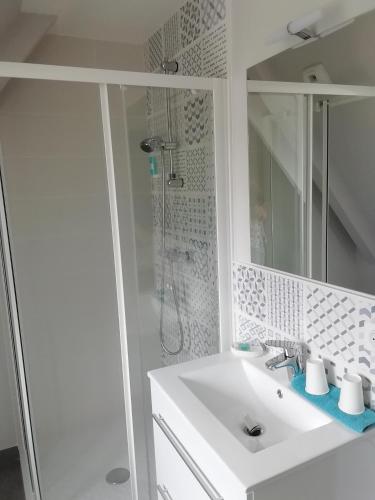 une salle de bain blanche avec un lavabo et une douche dans l'établissement Le Hameau du Petit Carpont - Chambres d'hôtes -Baie de Saint-Brieuc-entre-Paimpol et Erquy - Petit déjeuner breton, à Ploufragan