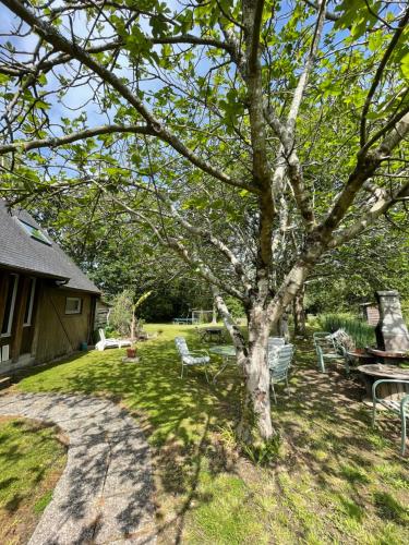 un árbol en un patio con mesa de picnic y sillas en Entre terre et mer, en Combrit