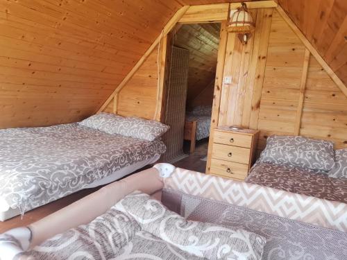una habitación con 2 camas y un sofá en una cabaña en Careva voda 1 en Dobroselica