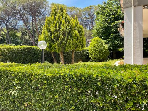 Bed and Breakfast Feel Good, Roma, Italia
