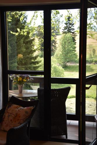 a room with a window looking out at a yard at Gastinger Hotel-Restaurant in Schmiedefeld am Rennsteig